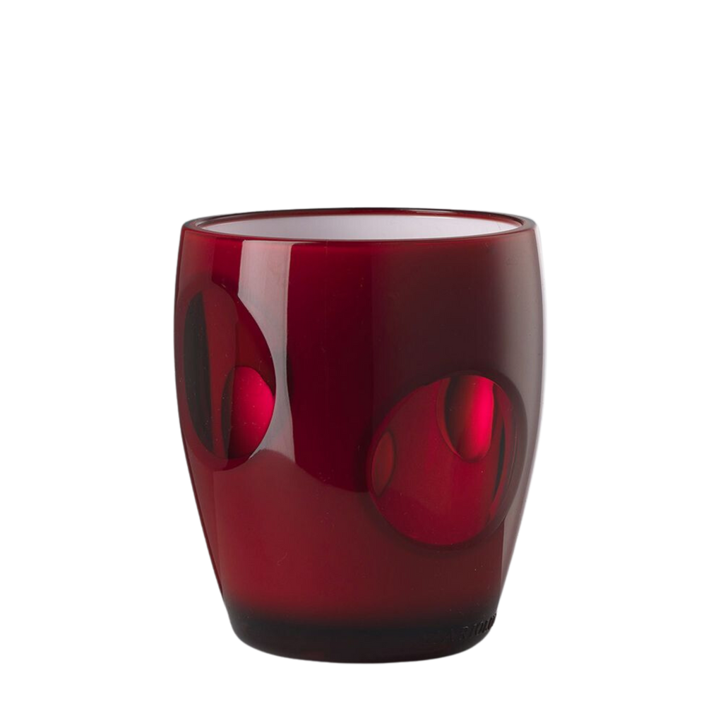 Fisheye Acrylic Tumbler