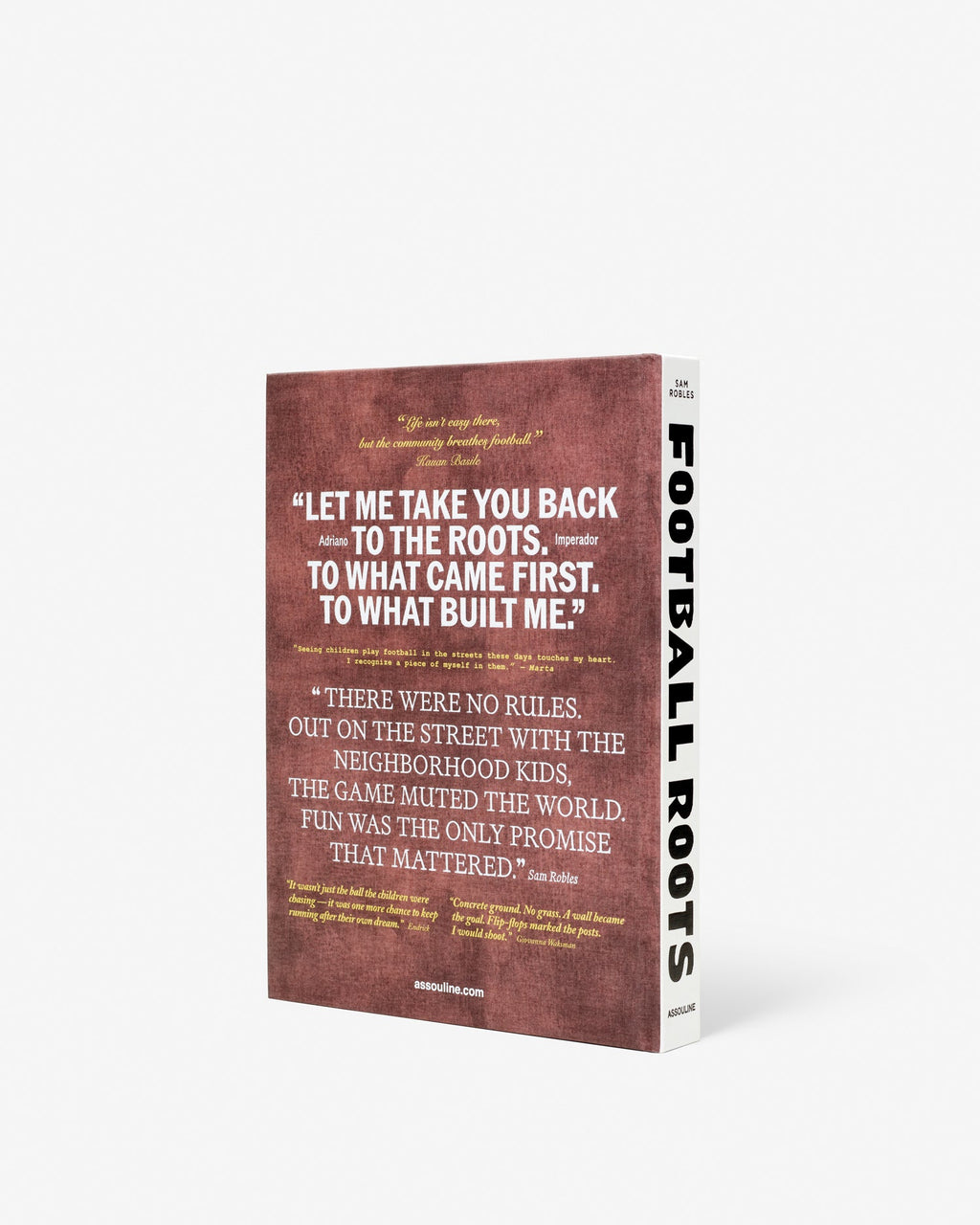 Book cover with text on a white background