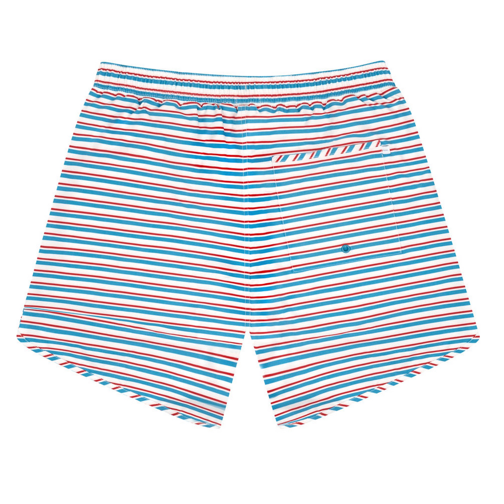 Men's Jetty Stripe Boardie