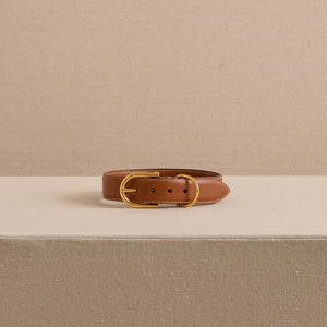 Pet Collar 30 in Vacchetta Luggage