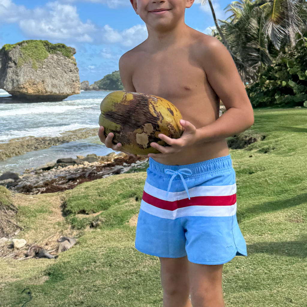 Boys’ Nordic Colorblock Boardie