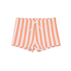 Boys Swizzle Stripe Brief