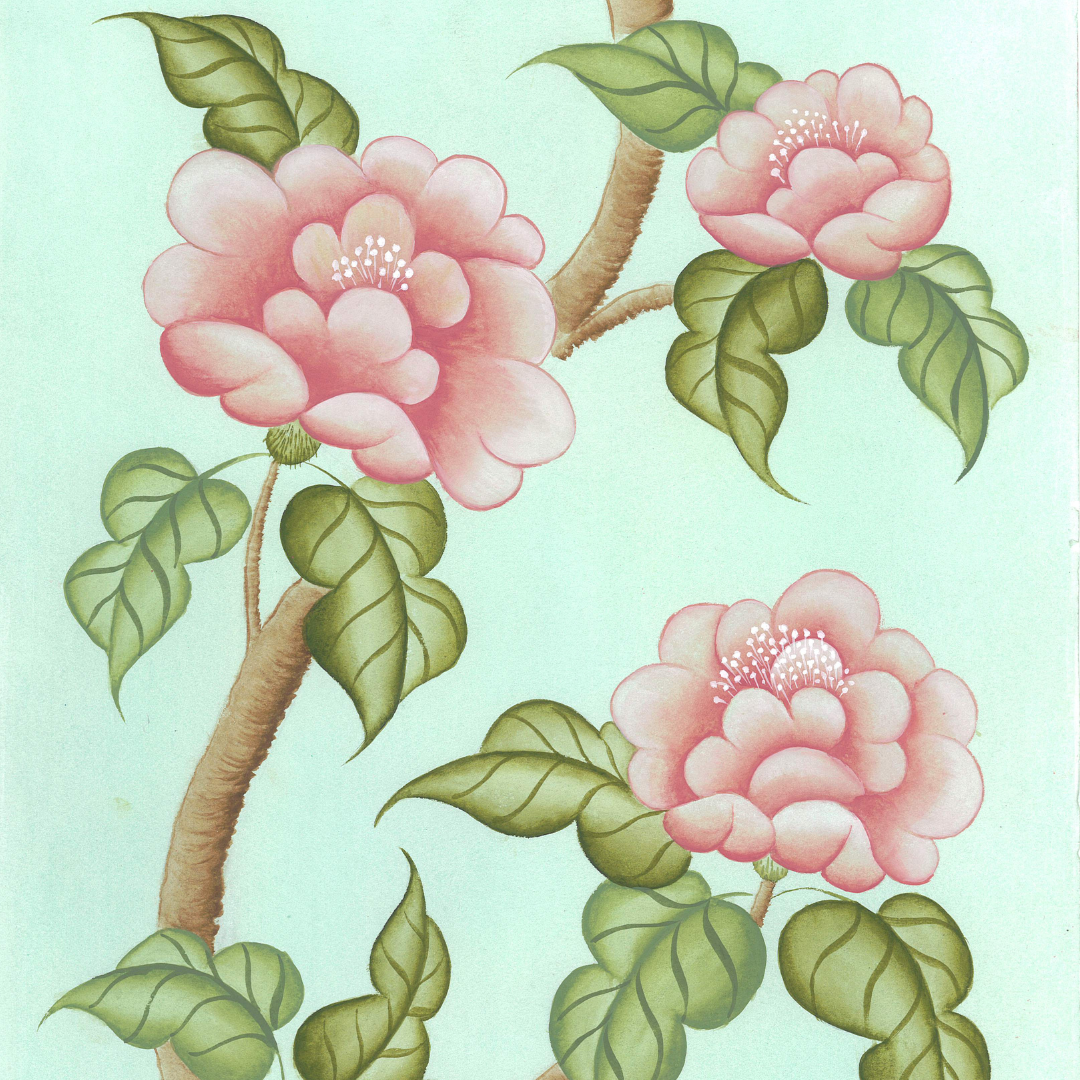 Peonies En Fleur