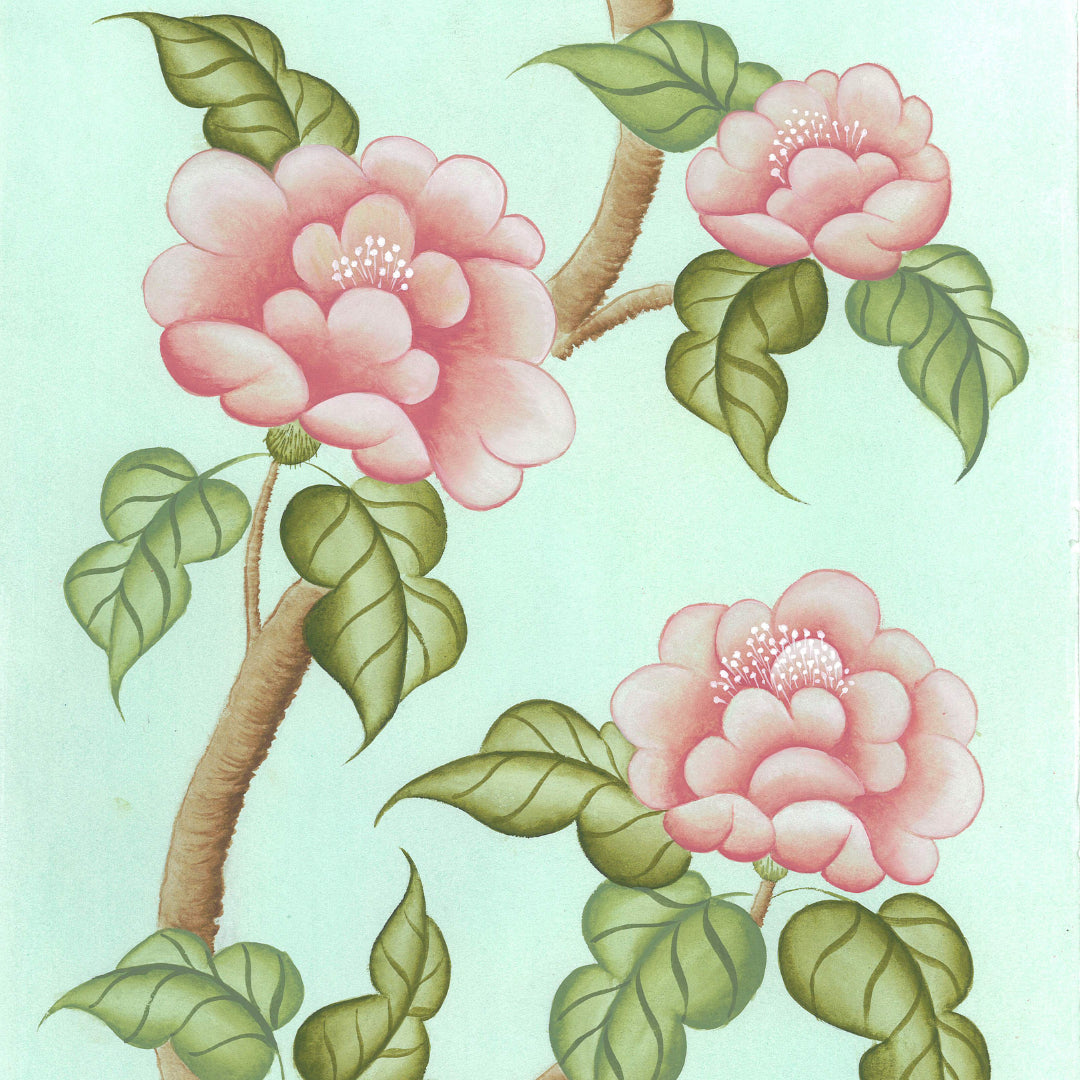 Peonies En Fleur