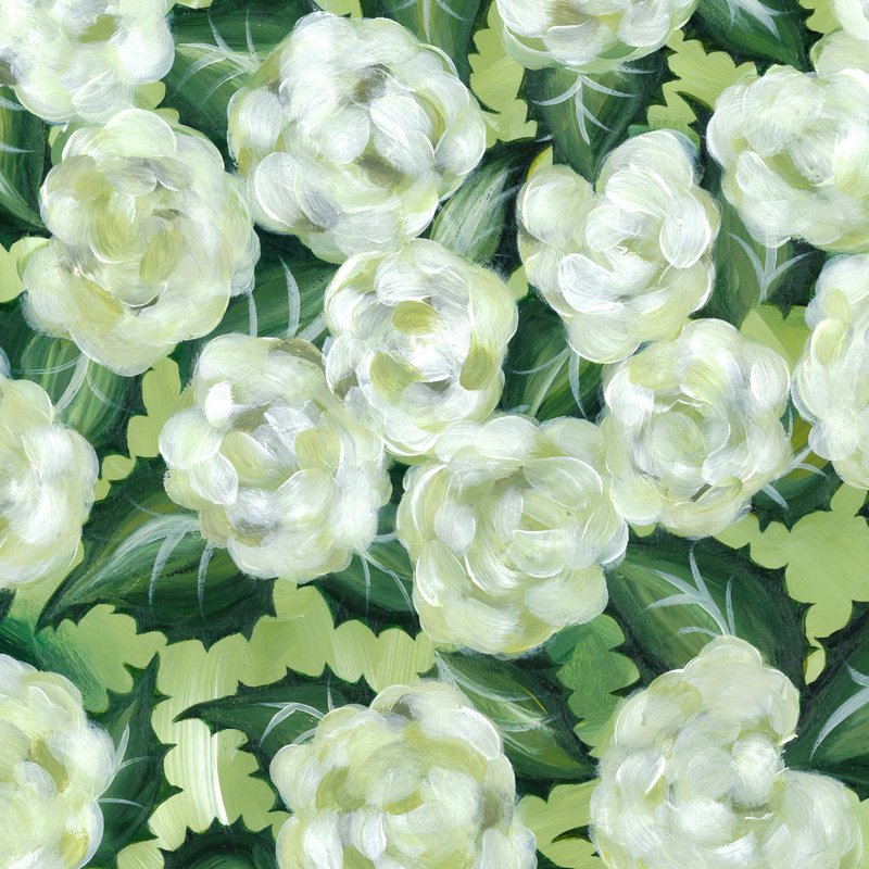 Original Limelight Hydrangeas