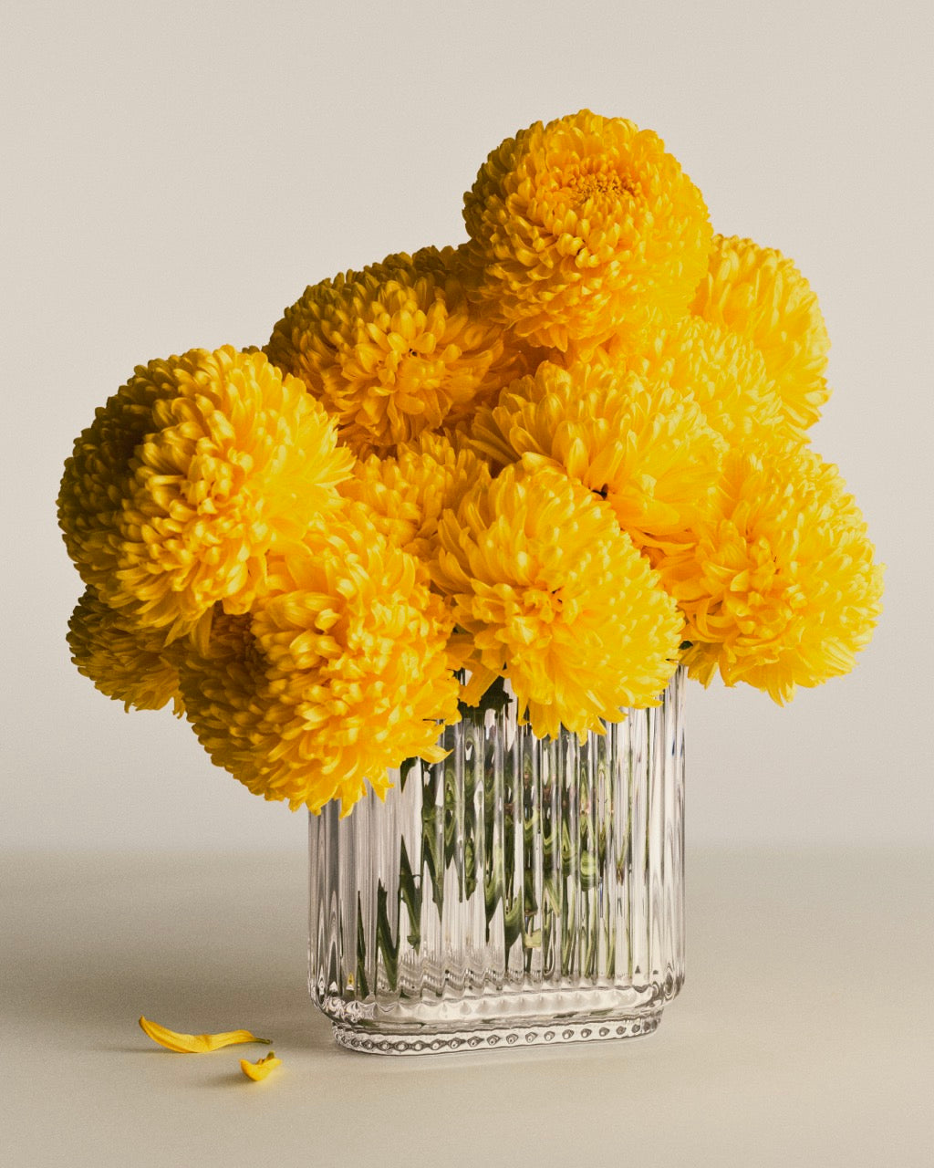 Bernadotte Oval Vase Glass
