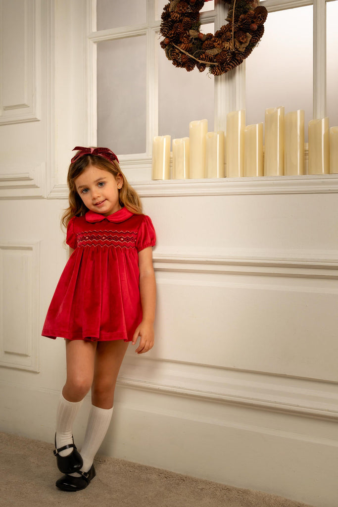 Camille Velvet Short Dress in Cherry