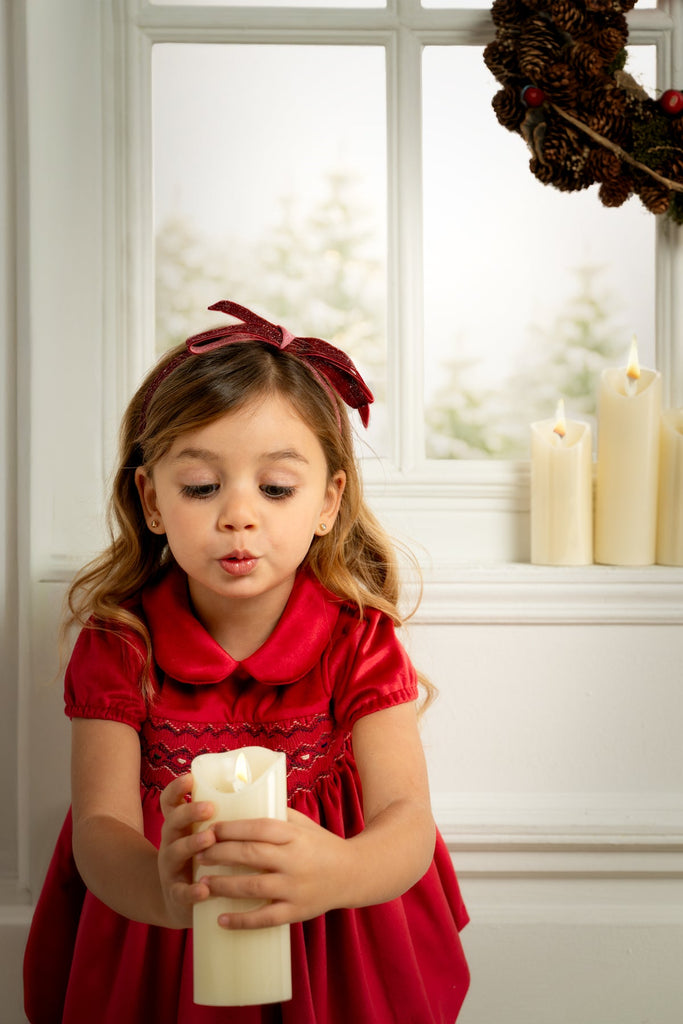 Camille Velvet Short Dress in Cherry