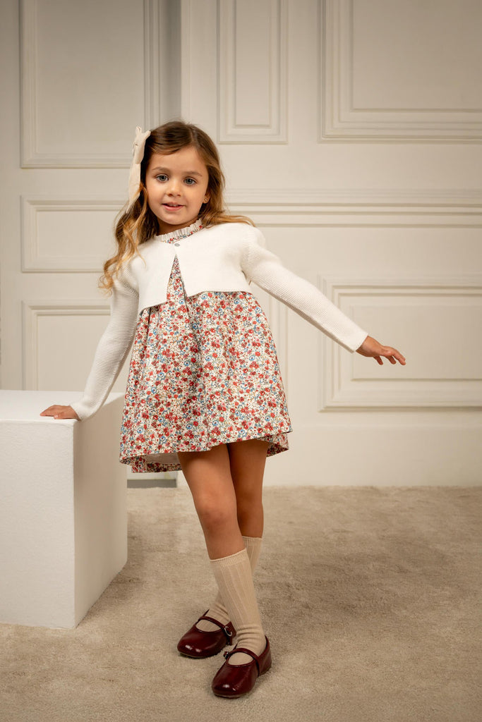 Gabriela Dress in Scarlet Garden