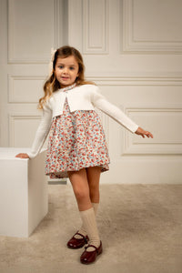 Gabriela Dress in Scarlet Garden