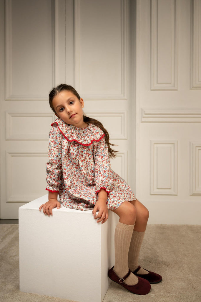 Fabiola Dress in Scarlet Garden