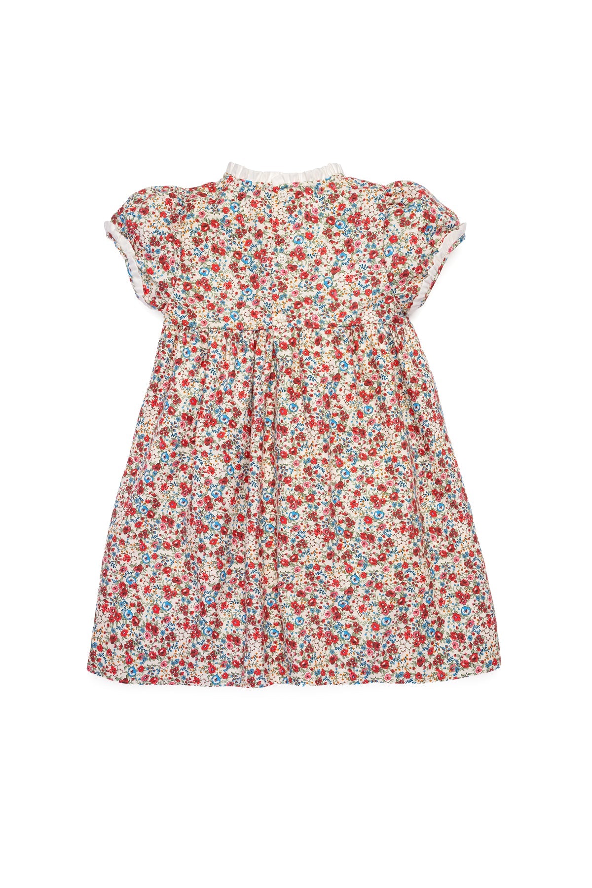 Gabriela Dress in Scarlet Garden