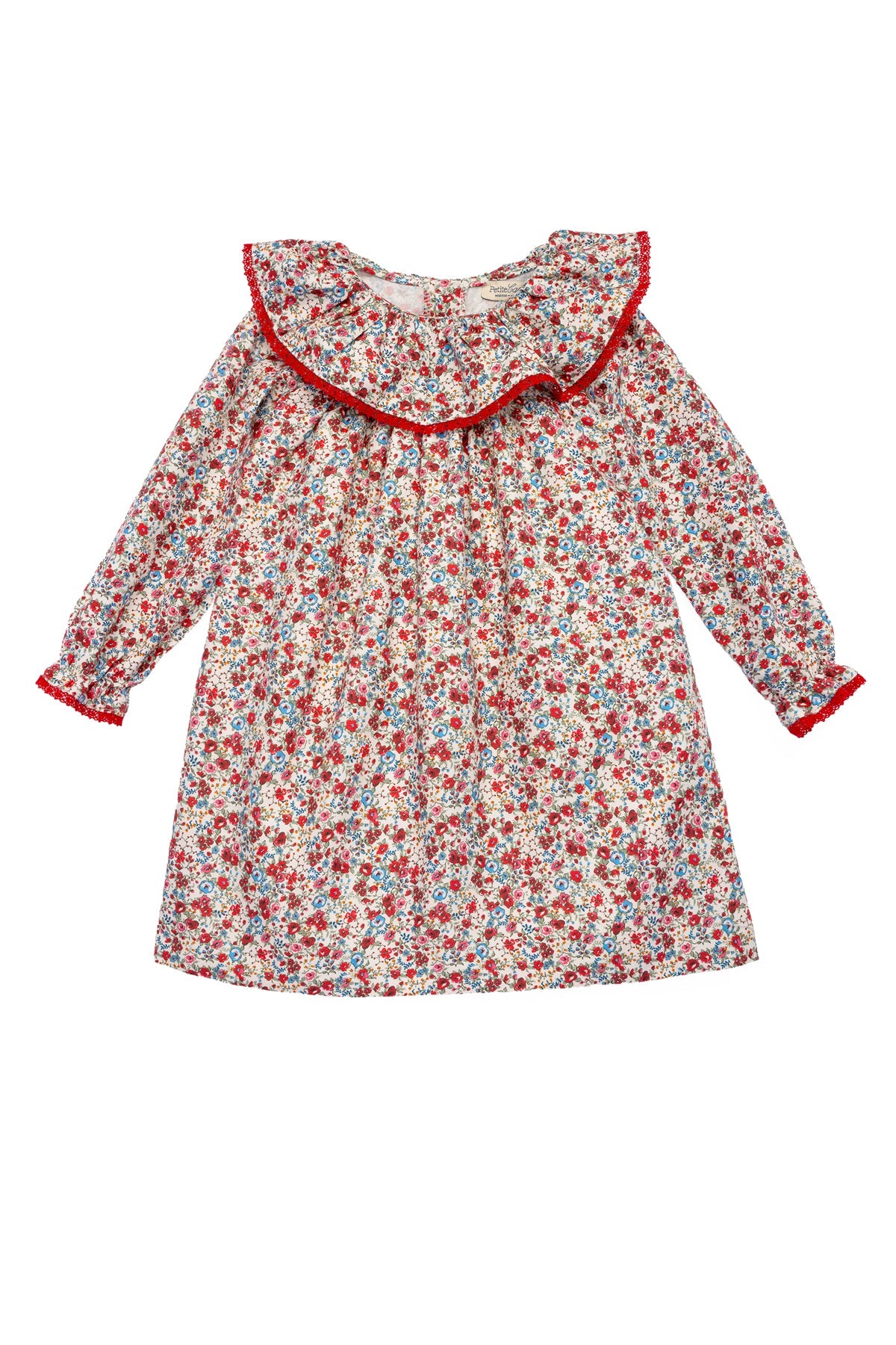 Fabiola Dress in Scarlet Garden