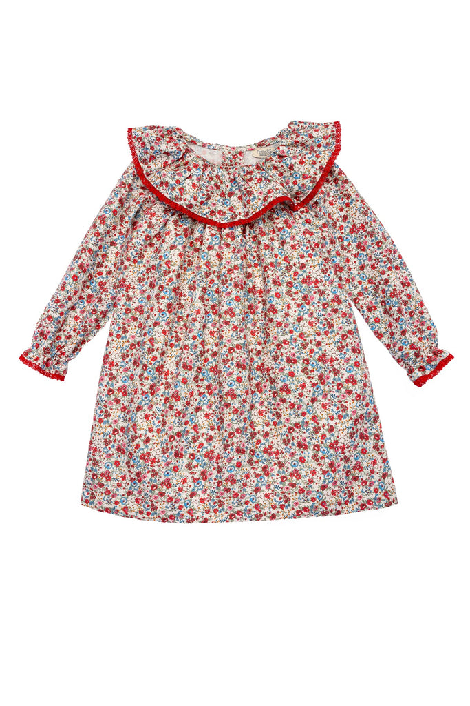 Fabiola Dress in Scarlet Garden