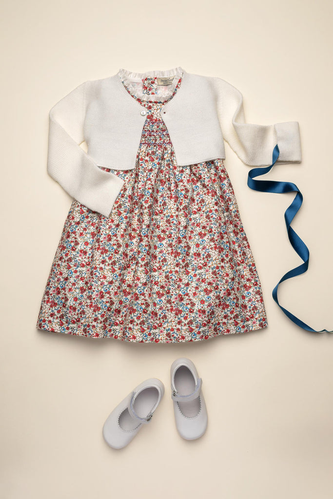 Gabriela Dress in Scarlet Garden