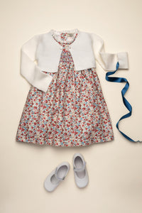 Gabriela Dress in Scarlet Garden