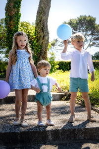 Sebastian Linen Shorts in Mint Green