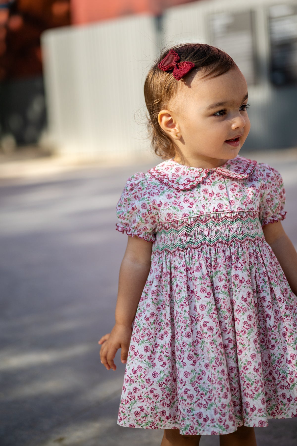 Antonella Dress in Rosewood Bloom