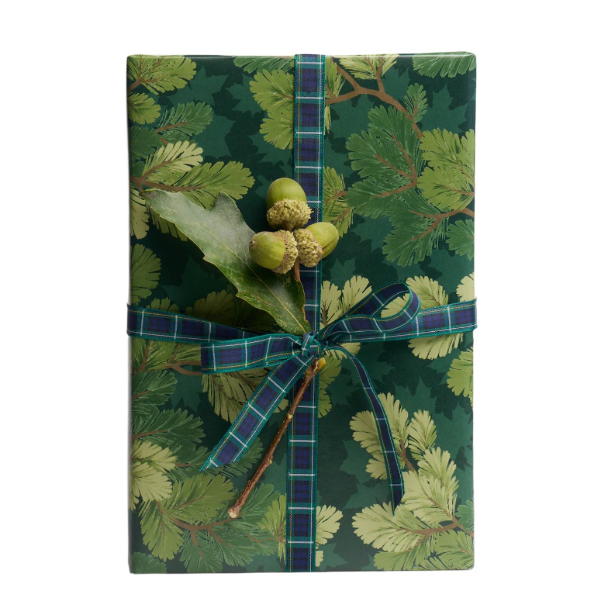 Covey Hedge Wrapping Paper