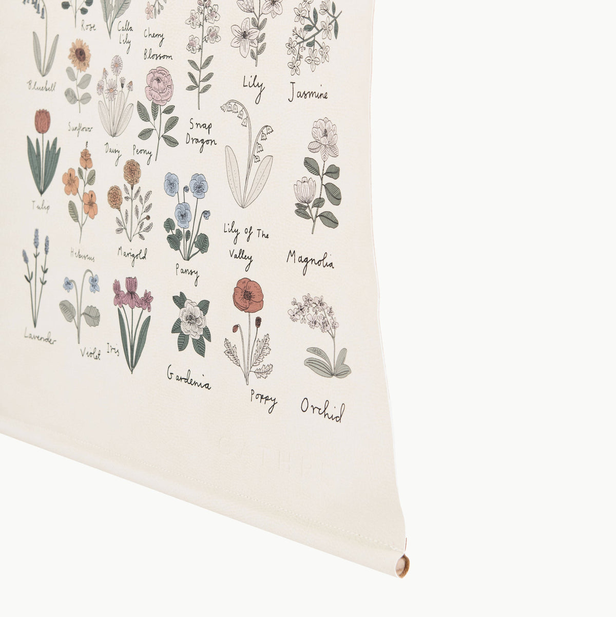 Fleurs