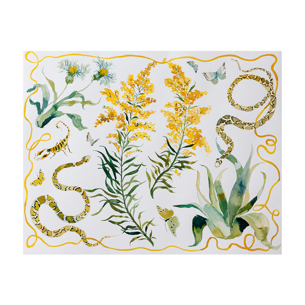 Goldenrod Texas Wildflower Print