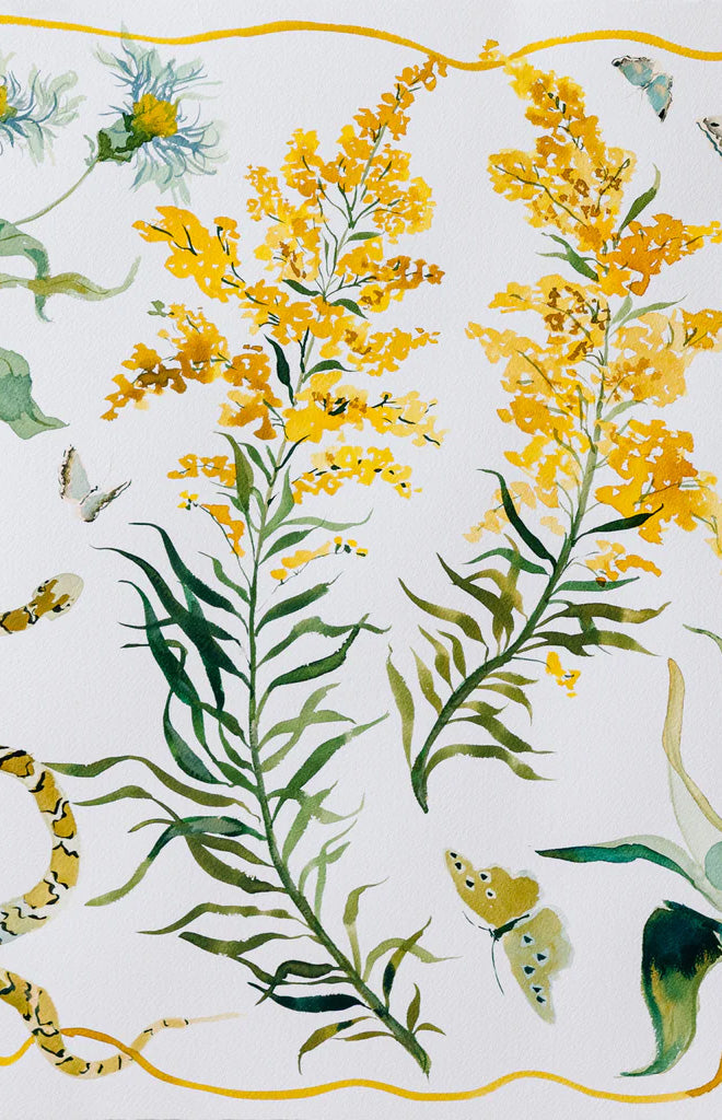 Goldenrod Texas Wildflower Print