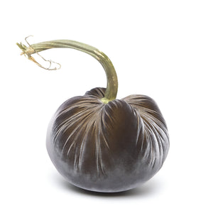 Graphite Silk Velvet Pumpkin