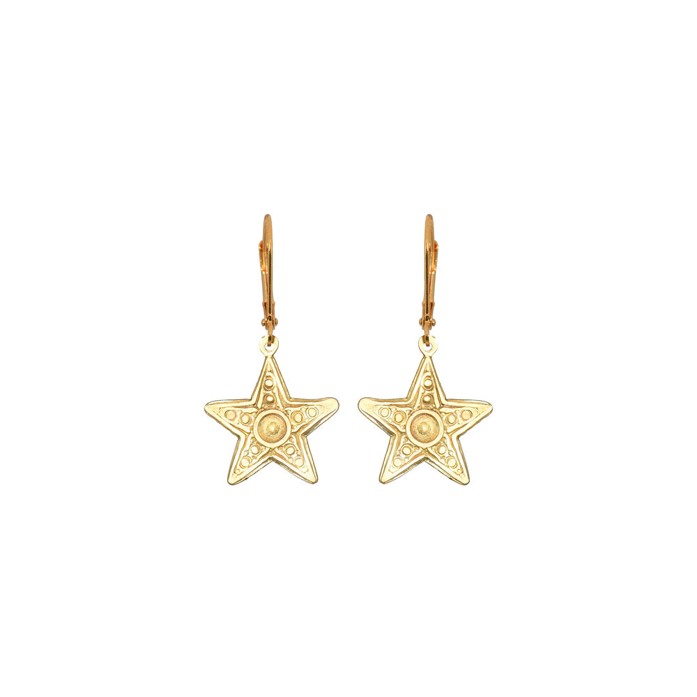 Small Star Earrings