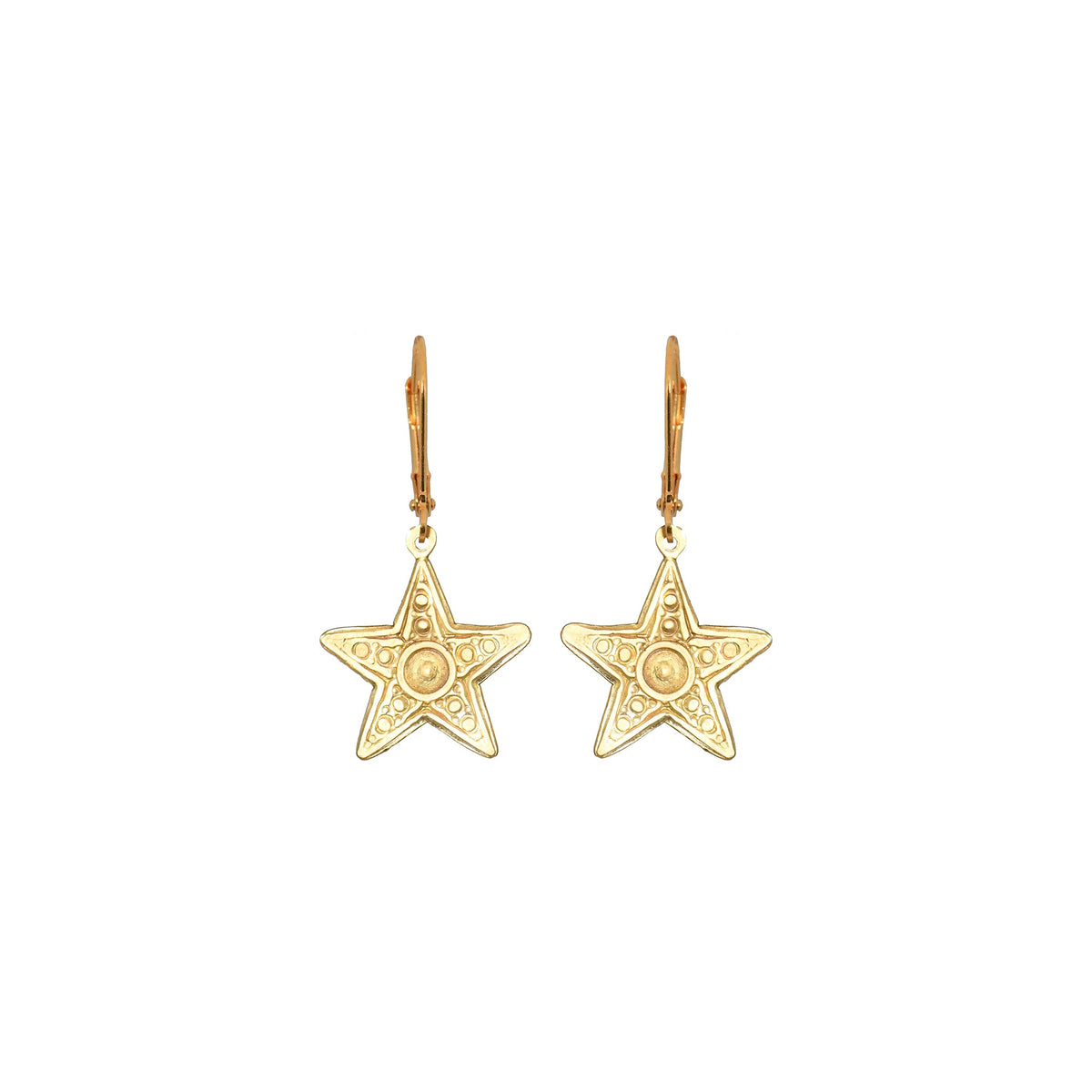 Small Star Earrings