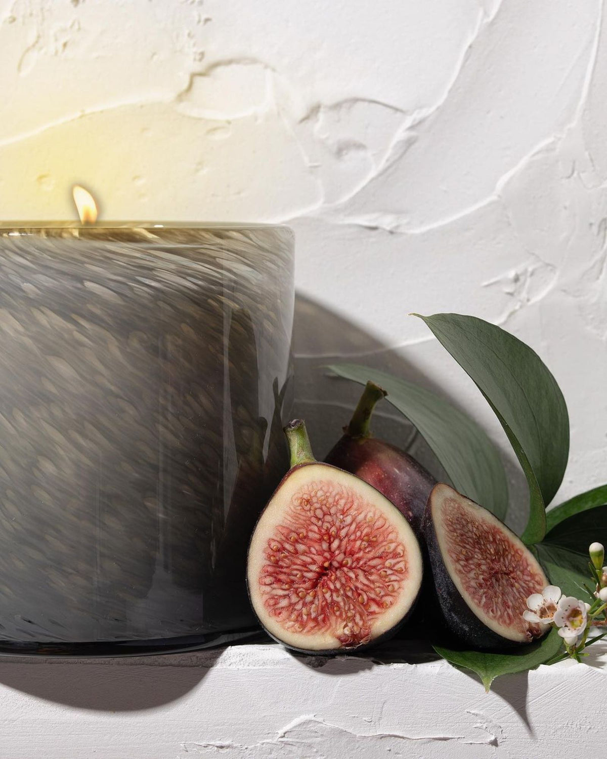 Paradiso Fig Classic Candle
