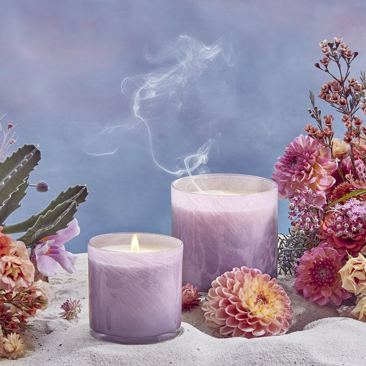 Midnight Cactus Classic Candle