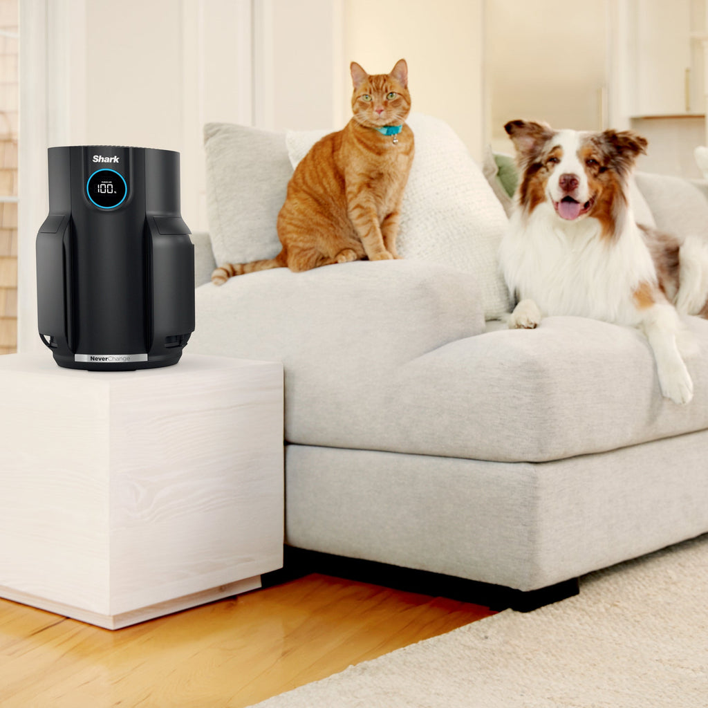 NeverChange Air Purifier in Black