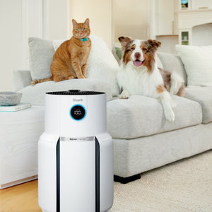 NeverChange Air Purifier MAX