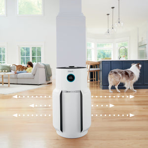 NeverChange Air Purifier MAX