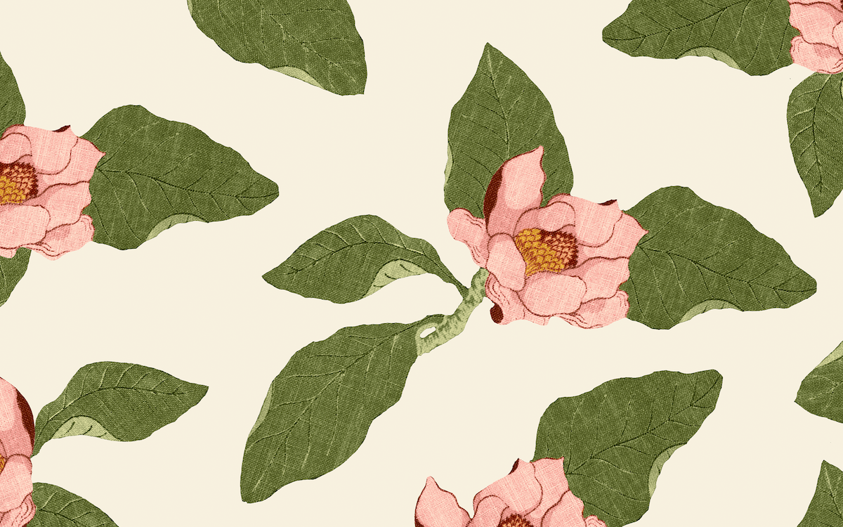 Sunflower Pant in Lotus Ivory