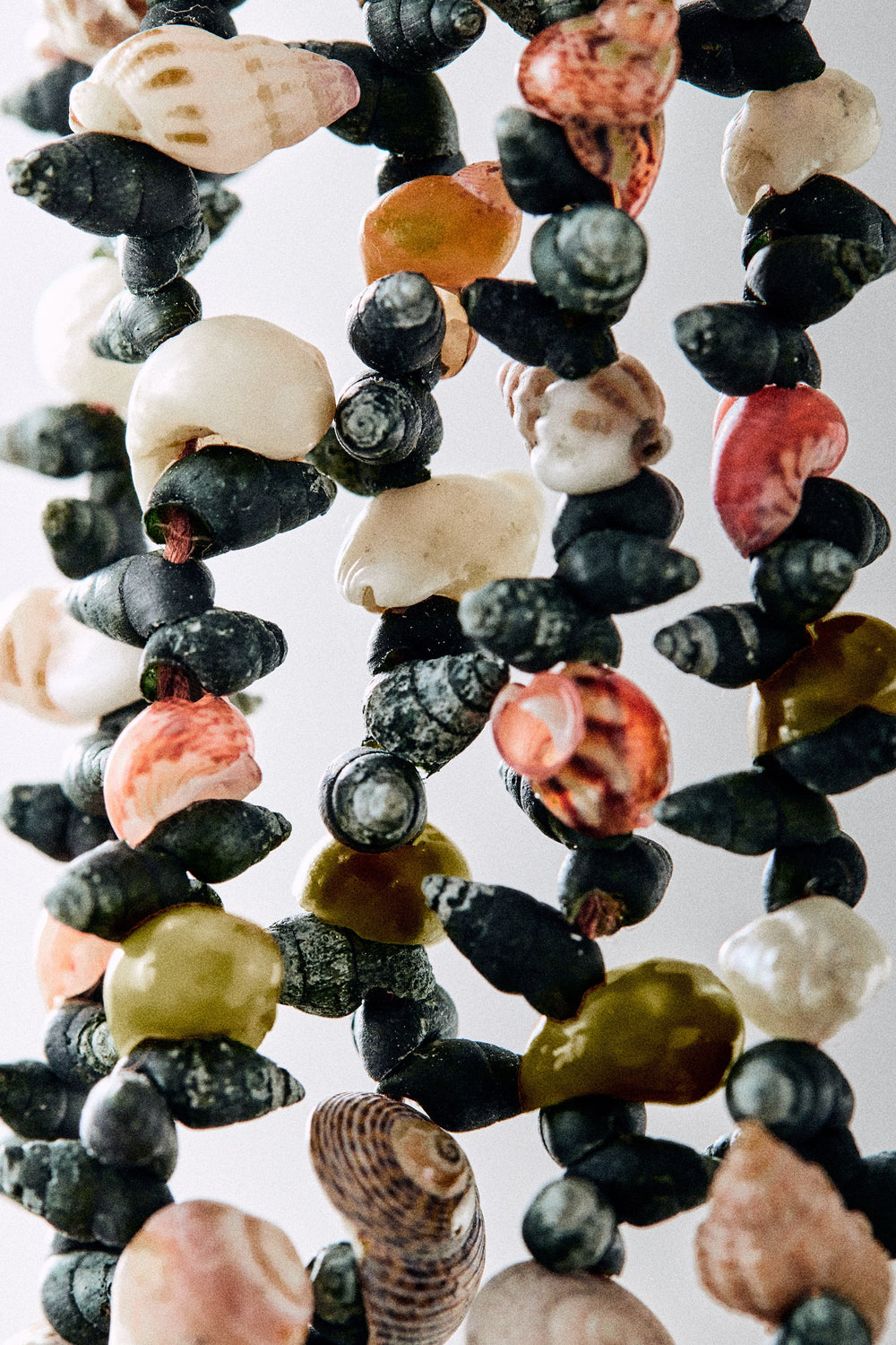 Close-up of Moraimas Short earrings showing seashells, freshwater pearls, and dark spiral shells on white background