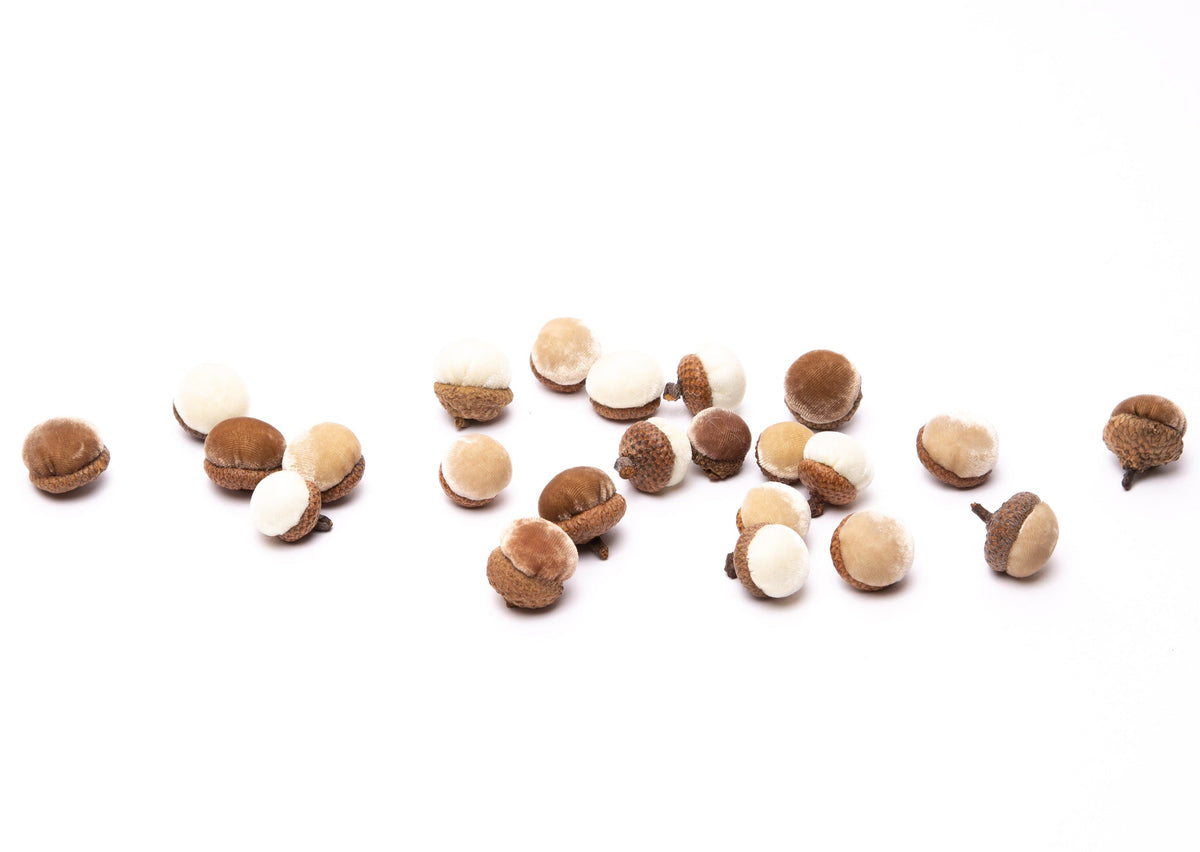 Neutral Acorns, Set of 24