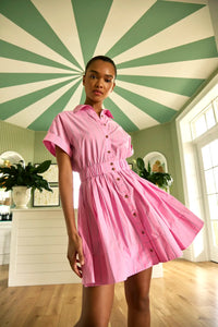 Pink and thin green striped mini dress with elastic waist and shirred skirt