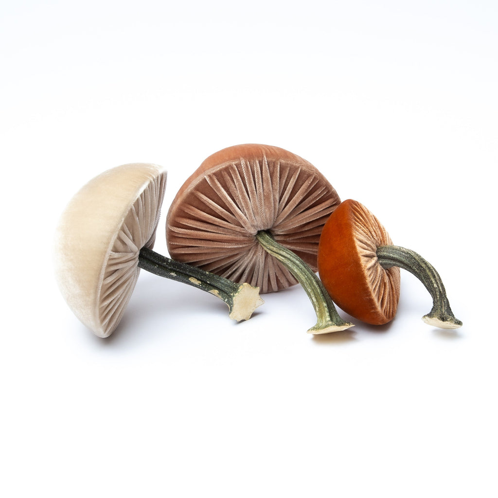 Mushroom Trio 3 in Spice, Bone, and Latte