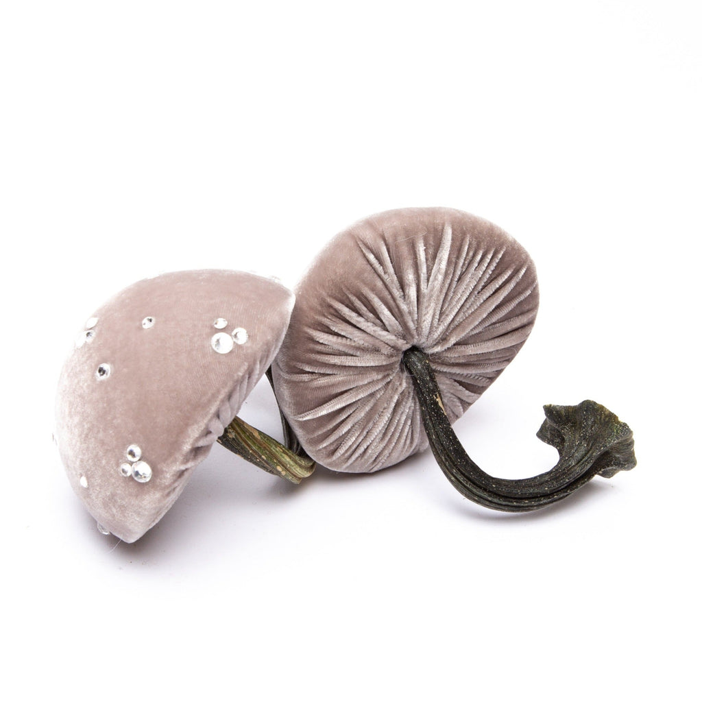 Small Putty Mushroom