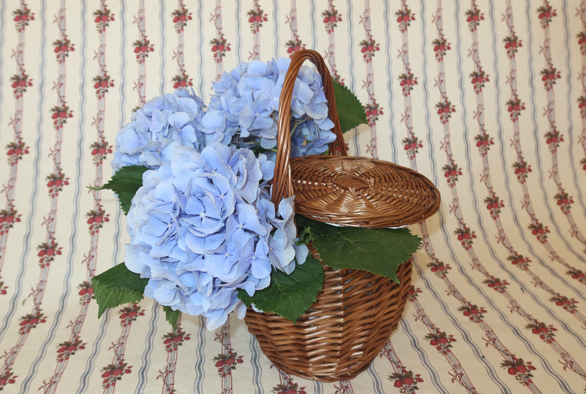 The Baby Garden Basket with Rose Print