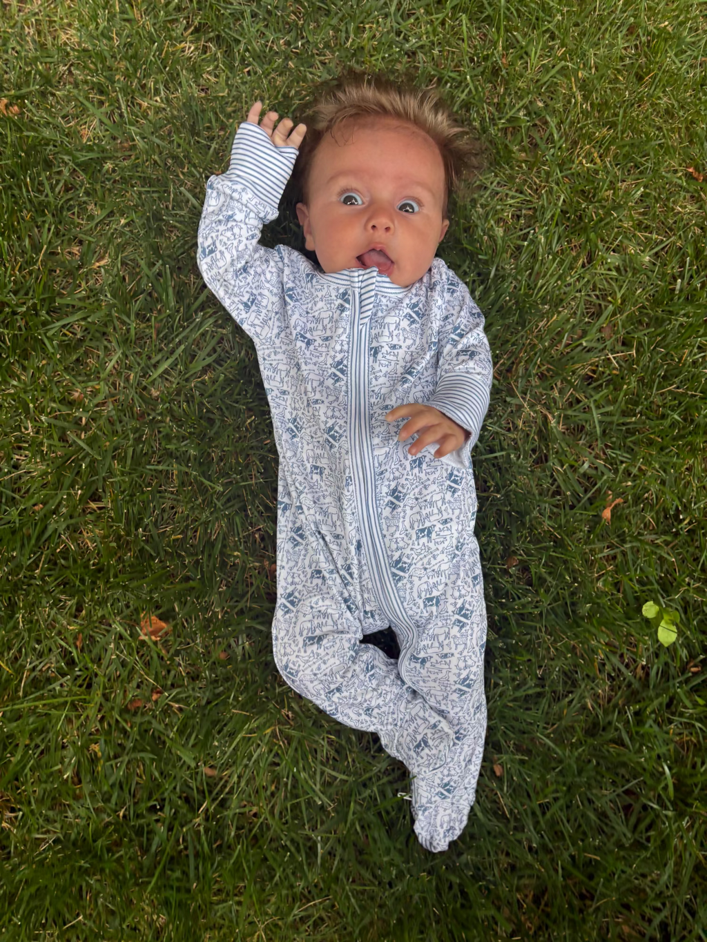 Front view of Farm Zip Baby Onesie showcasing a hand-drawn farm animal print on a baby lying on grass