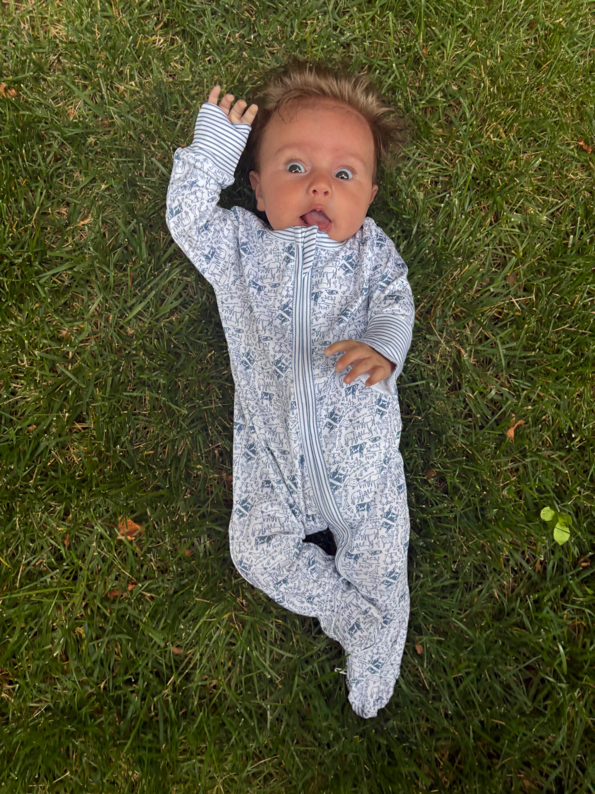 Front view of Farm Zip Baby Onesie showcasing a hand-drawn farm animal print on a baby lying on grass