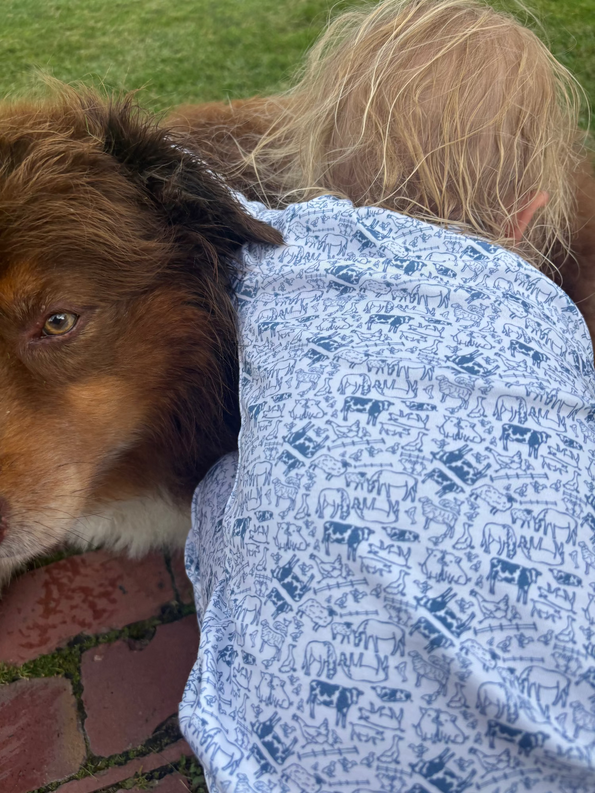 Side view of Farm Kids Henley Pajamas showcasing a blue and white farm print beside a brown dog outdoors