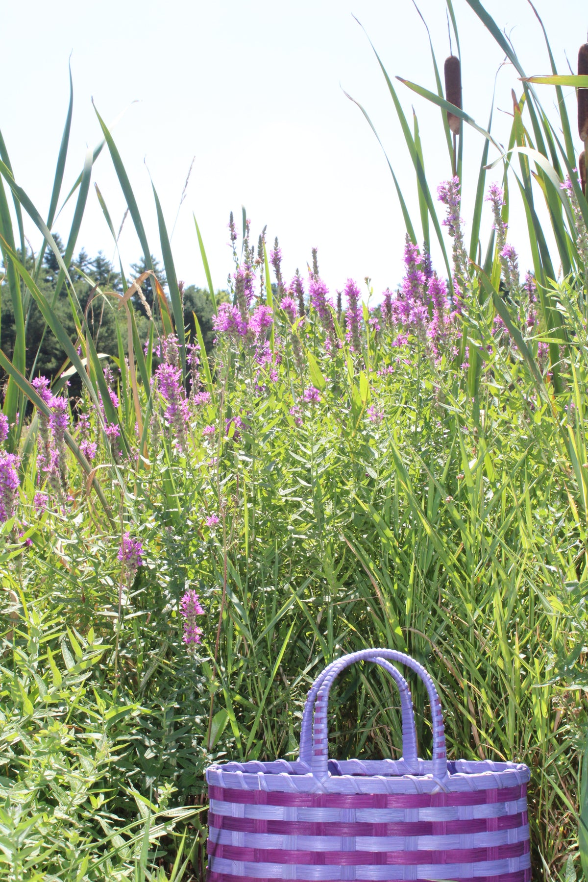 Retro-Travel Tote in Juicy Juice