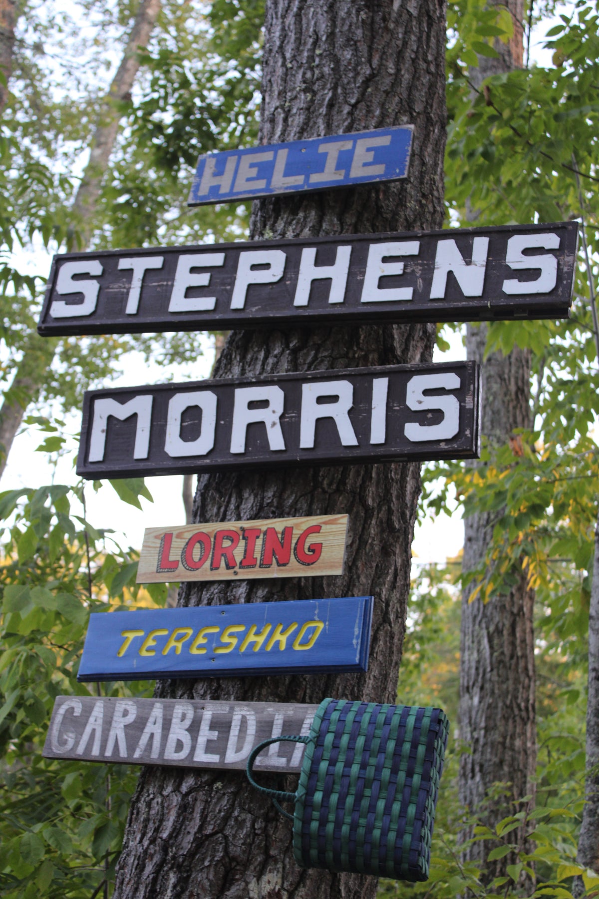 Retro-Travel Tote in Pleasant Mountain