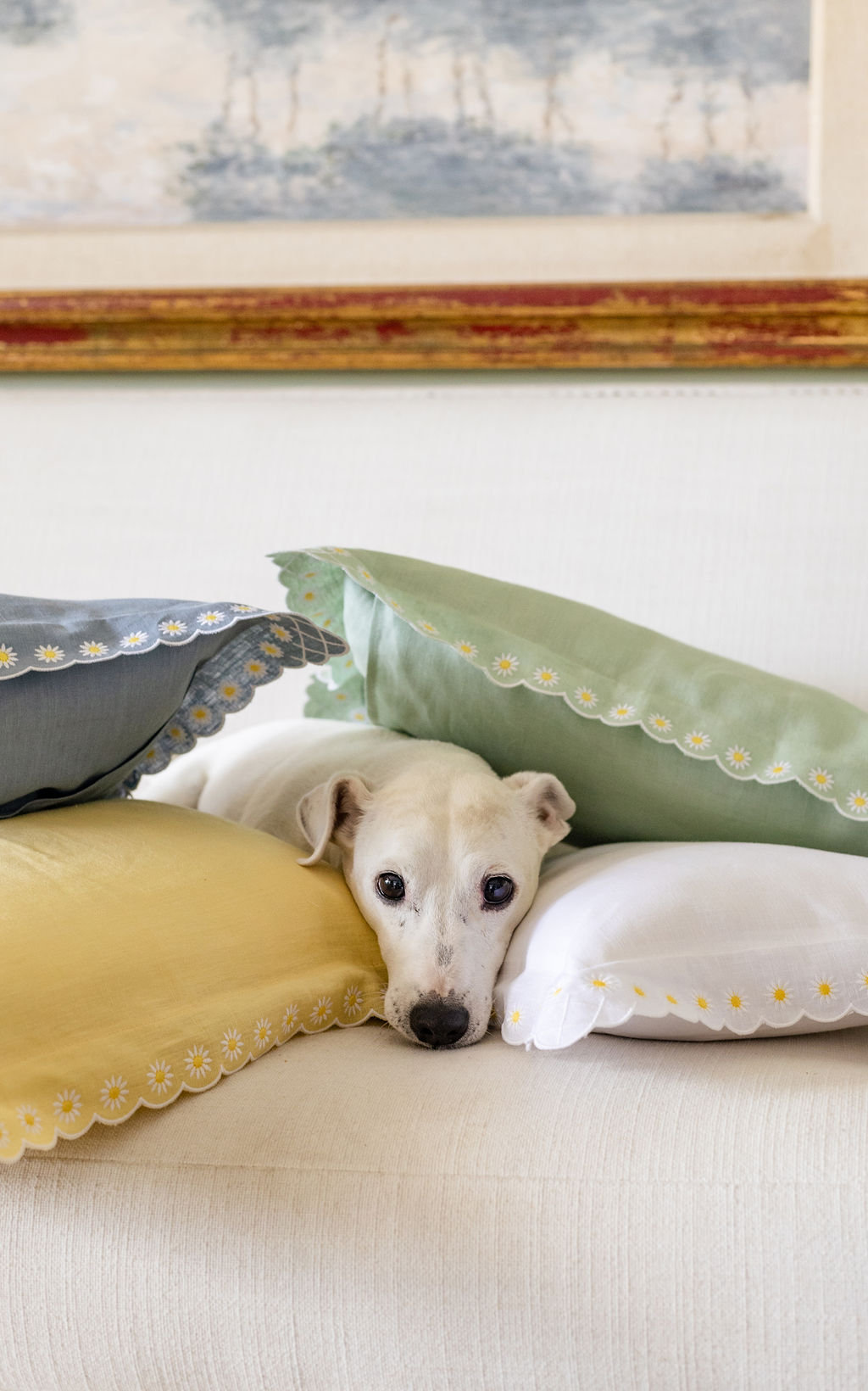Daisy Boudoir Sham in Blue