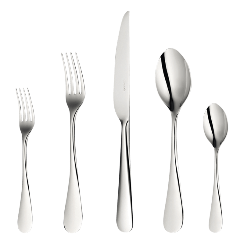 5-Piece Stainless Steel Flatware Set