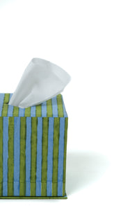 Green and blue striped blockprint tissue box cover with tissue, side view