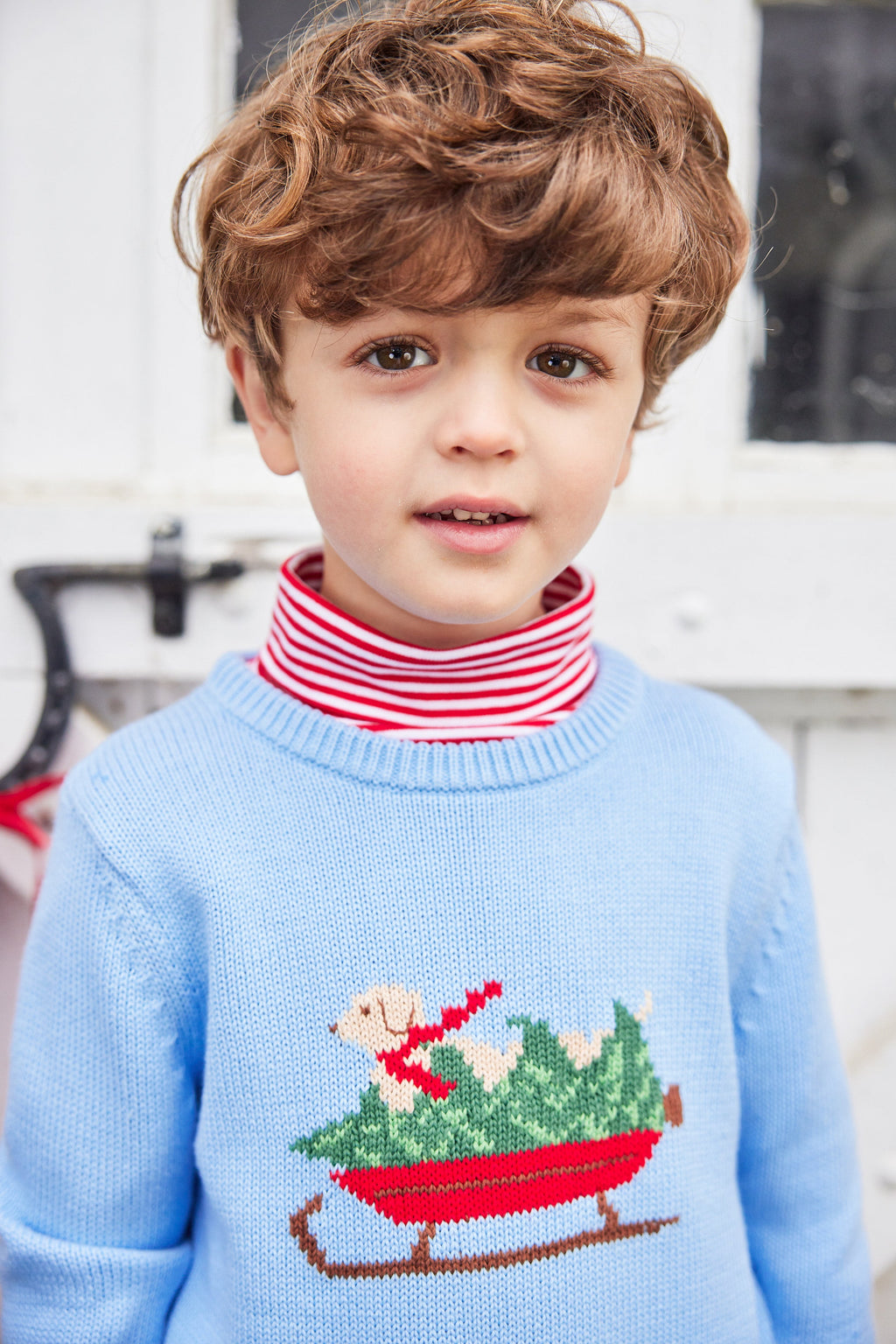 Little English traditional childen's clothing, light blue intarsia sweater with holiday lab print on chest, for little boy